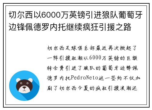切尔西以6000万英镑引进狼队葡萄牙边锋佩德罗内托继续疯狂引援之路