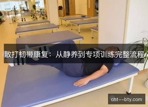 散打韧带康复:从静养到专项训练完整流程 散打韧带康复:从静养到专项训练完整流程